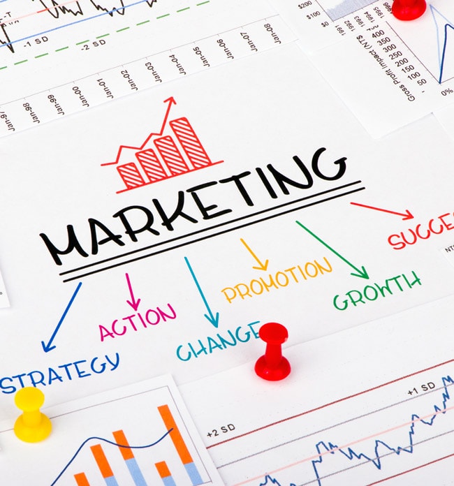 Mercadotecnia » Maxil & CO. Estratégica